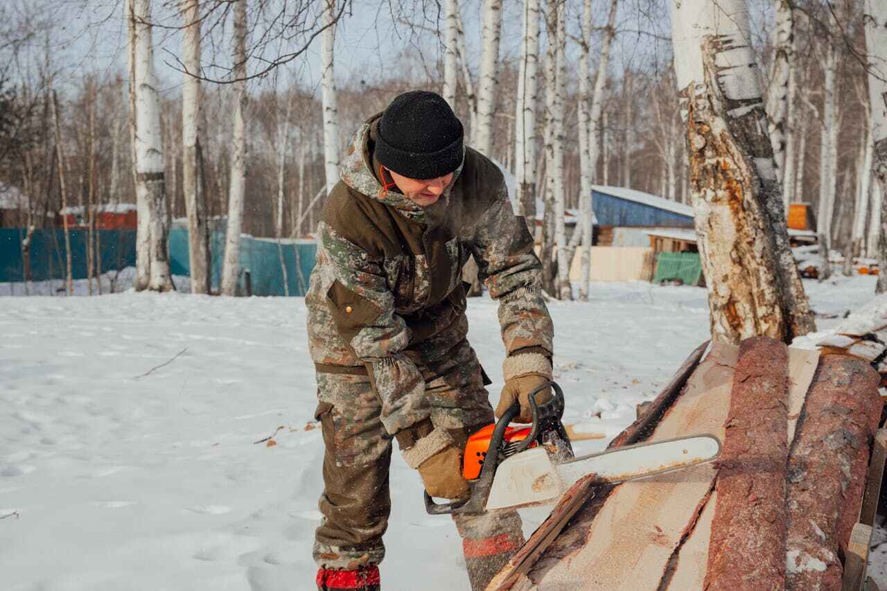 Best Stump Grinding Near Me  in Chaffee, MO